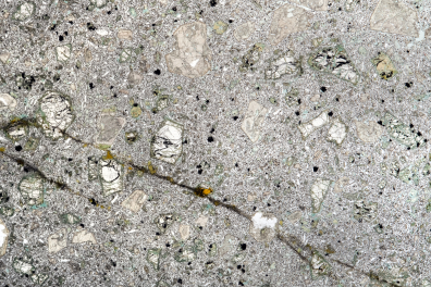 Basalte à olivine LPNA x1,6